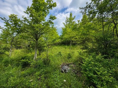 4 Iron Horse Lane Dryfork WV 26263