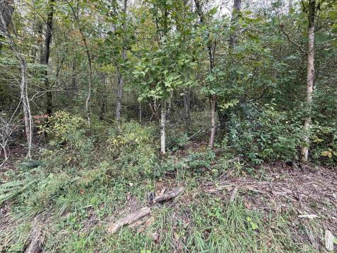 0 Spencer Street Flemington WV 26347