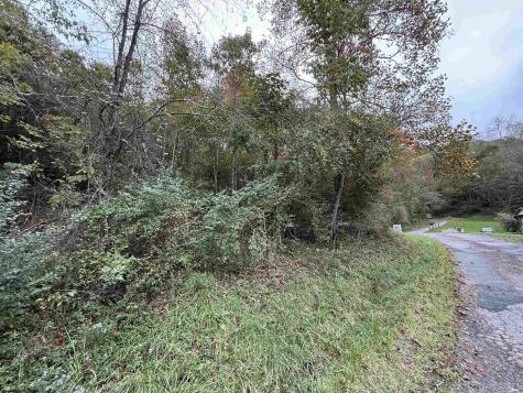 0 Spencer Street Flemington WV 26347