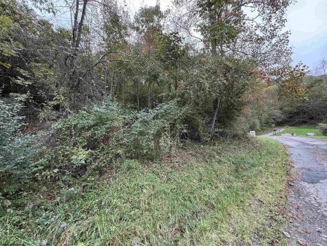 0 Spencer Street Flemington WV 26347