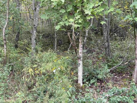 0 Spencer Street Flemington WV 26347