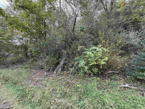 0 Spencer Street Flemington WV 26347