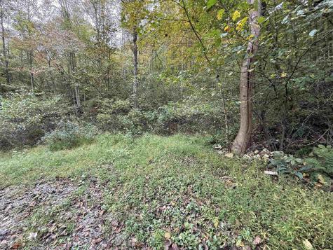 0 Spencer Street Flemington WV 26347