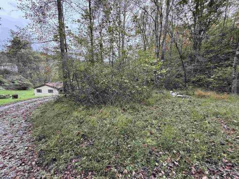 0 Spencer Street Flemington WV 26347