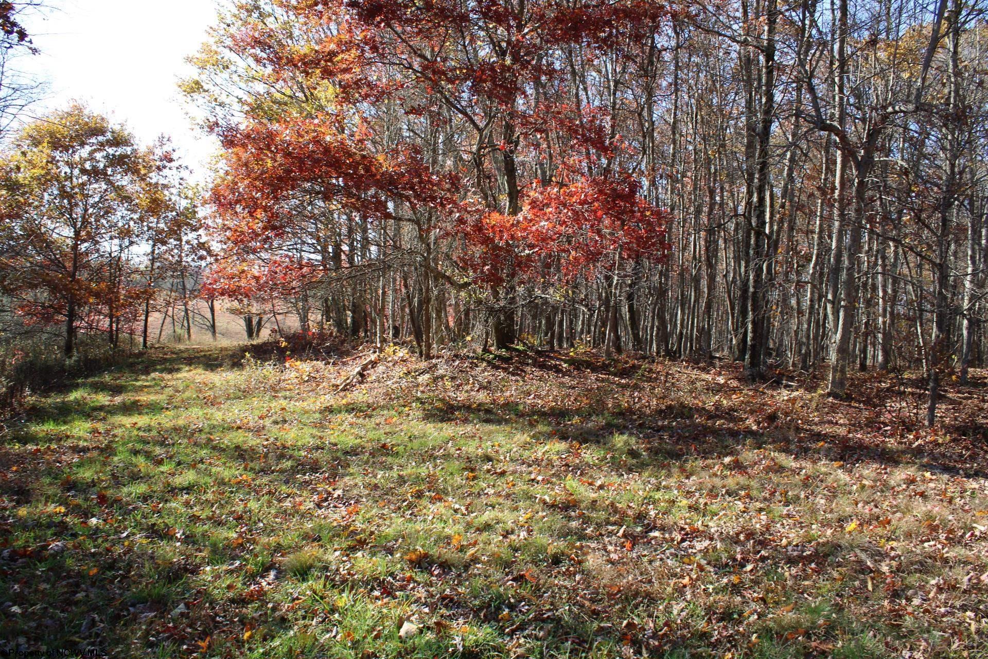 5 Cascade Ridge Masontown WV 26542