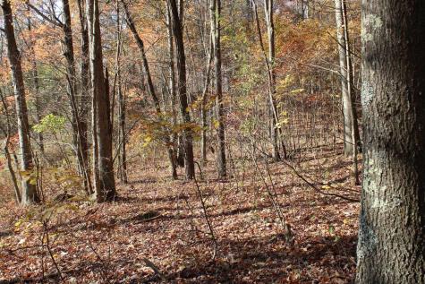 5 Cascade Ridge Masontown WV 26542