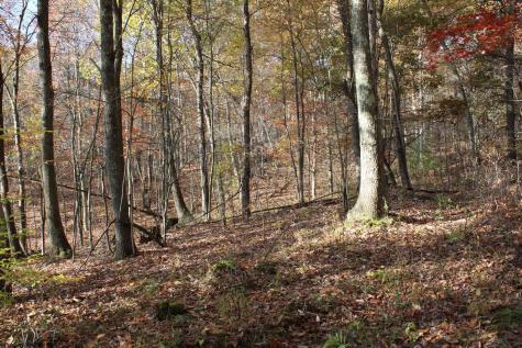 5 Cascade Ridge Masontown WV 26542