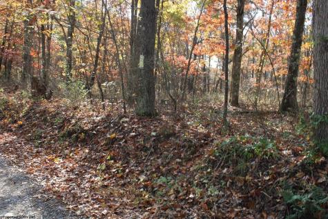 5 Cascade Ridge Masontown WV 26542