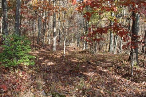 5 Cascade Ridge Masontown WV 26542