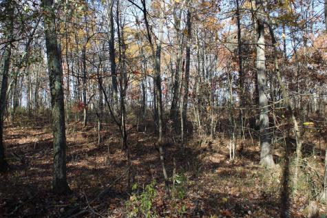 5 Cascade Ridge Masontown WV 26542