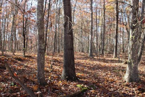 5 Cascade Ridge Masontown WV 26542