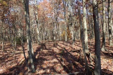 5 Cascade Ridge Masontown WV 26542