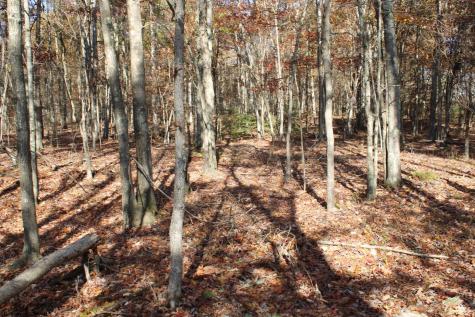 5 Cascade Ridge Masontown WV 26542