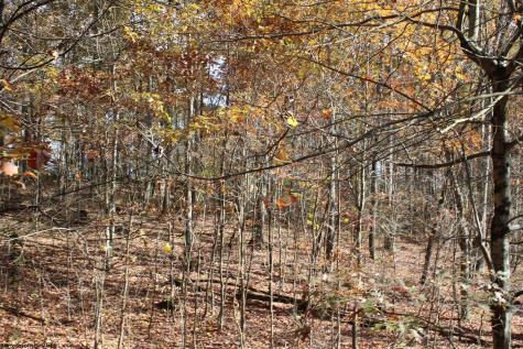 5 Cascade Ridge Masontown WV 26542