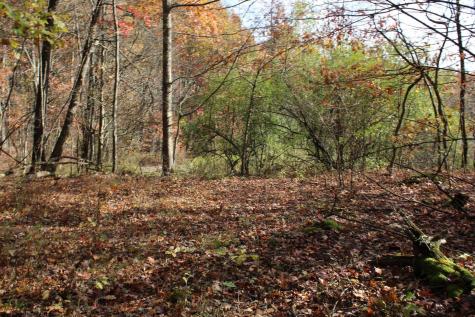 5 Cascade Ridge Masontown WV 26542