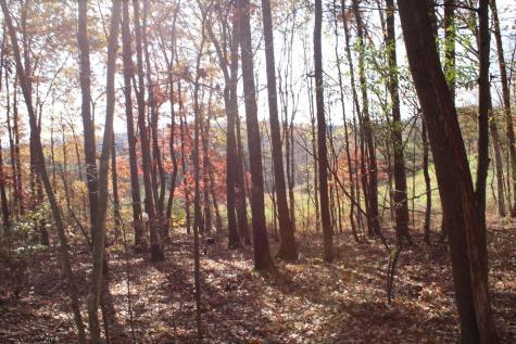 5 Cascade Ridge Masontown WV 26542