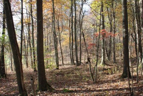5 Cascade Ridge Masontown WV 26542