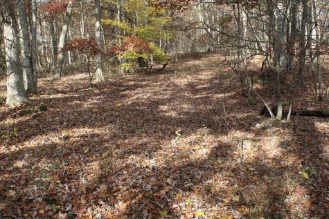 5 Cascade Ridge Masontown WV 26542