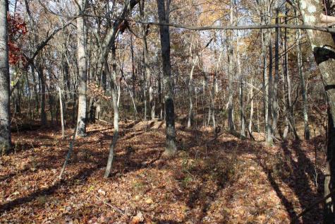 5 Cascade Ridge Masontown WV 26542