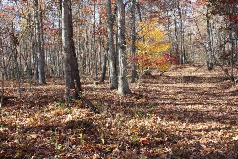 5 Cascade Ridge Masontown WV 26542