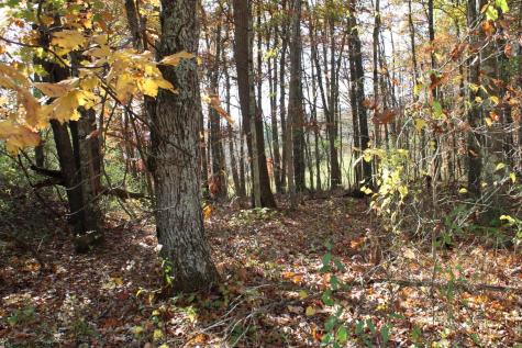 5 Cascade Ridge Masontown WV 26542
