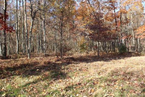 5 Cascade Ridge Masontown WV 26542