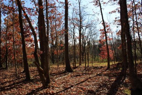 5 Cascade Ridge Masontown WV 26542