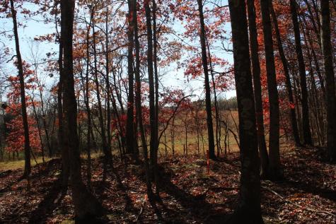 5 Cascade Ridge Masontown WV 26542