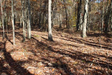 5 Cascade Ridge Masontown WV 26542