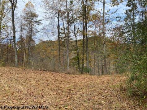 0 Third Run Road Glenville WV 26342