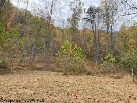 0 Third Run Road Glenville WV 26342