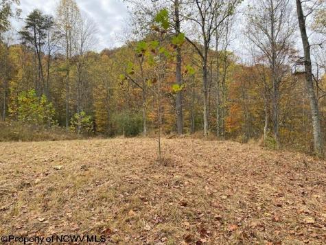 0 Third Run Road Glenville WV 26342