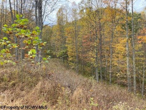 0 Third Run Road Glenville WV 26342