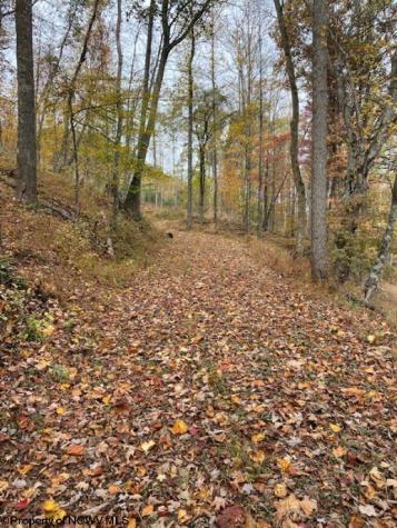0 Third Run Road Glenville WV 26342