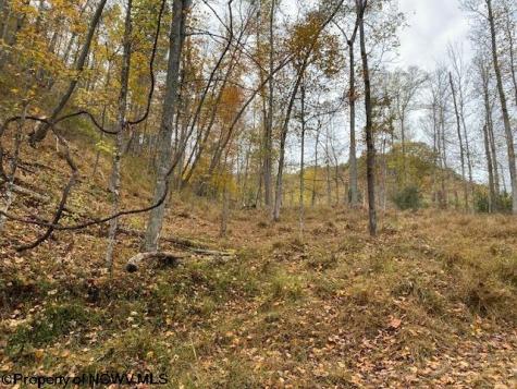 0 Third Run Road Glenville WV 26342