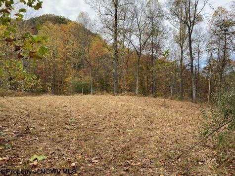 0 Third Run Road Glenville WV 26342