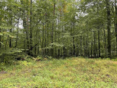 3 Deckers Trail Road Masontown WV 26542