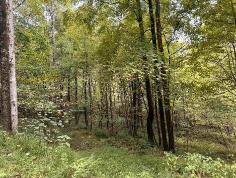 3 Deckers Trail Road Masontown WV 26542