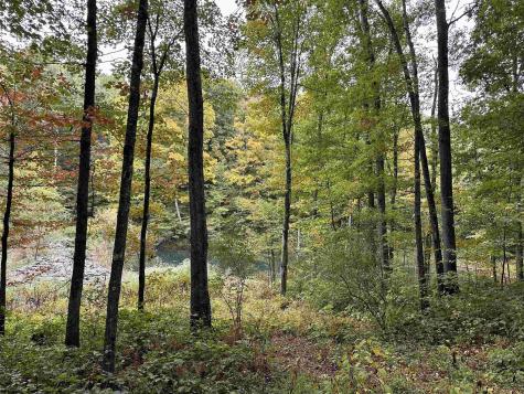 3 Deckers Trail Road Masontown WV 26542