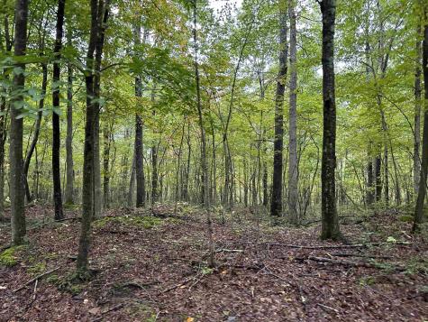 3 Deckers Trail Road Masontown WV 26542