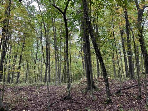 3 Deckers Trail Road Masontown WV 26542