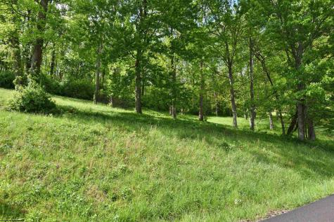 Lot 17 Diamond Cove Bridgeport WV 26330