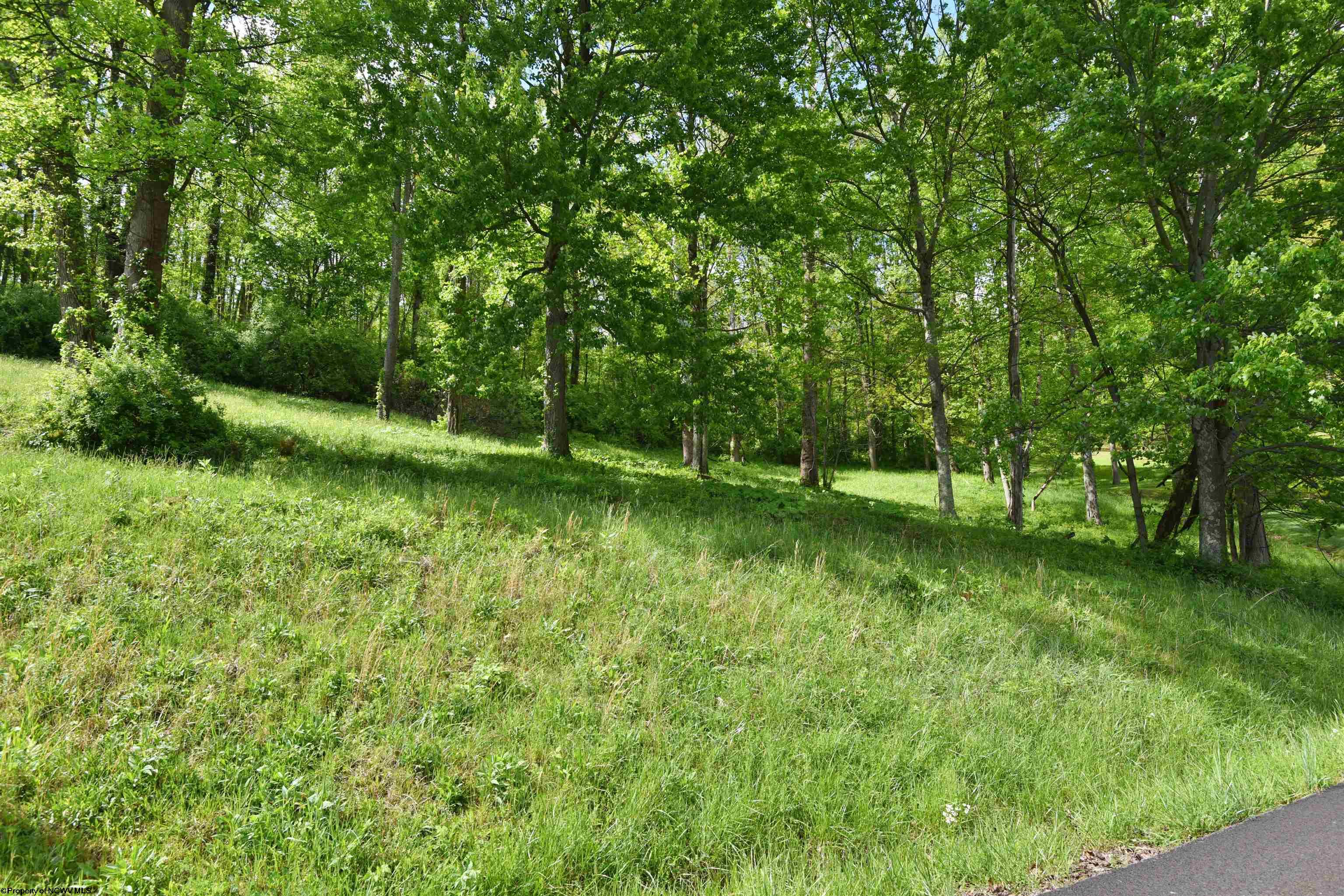 17 Diamond Cove Bridgeport WV 26330