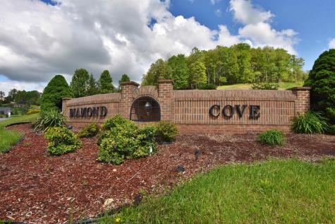 Lot 17 Diamond Cove Bridgeport WV 26330