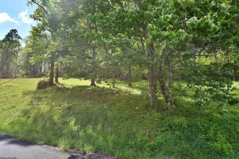 17 Diamond Cove Bridgeport WV 26330