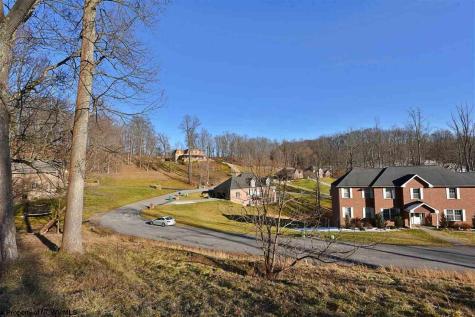 17 Diamond Cove Bridgeport WV 26330