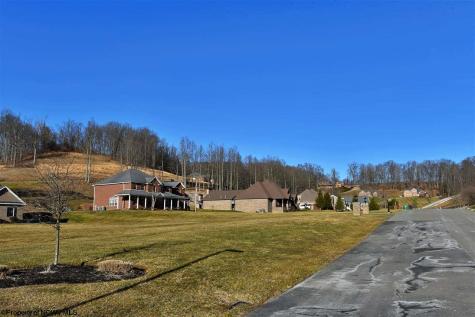 17 Diamond Cove Bridgeport WV 26330