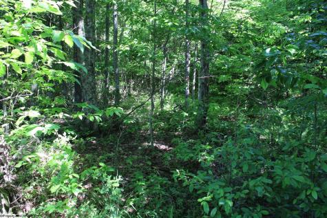 2 Gladesville Road Morgantown WV 26508