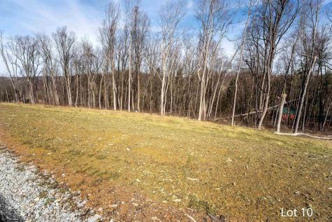 10 Bo Drive Morgantown WV 26508