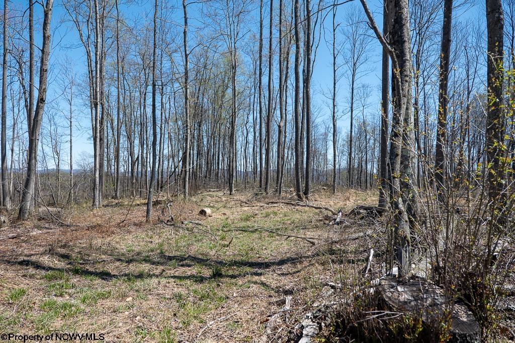 1 S Preston Highway Tunnelton WV 26444